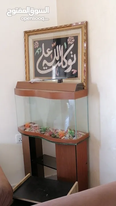 حوض سمك ....