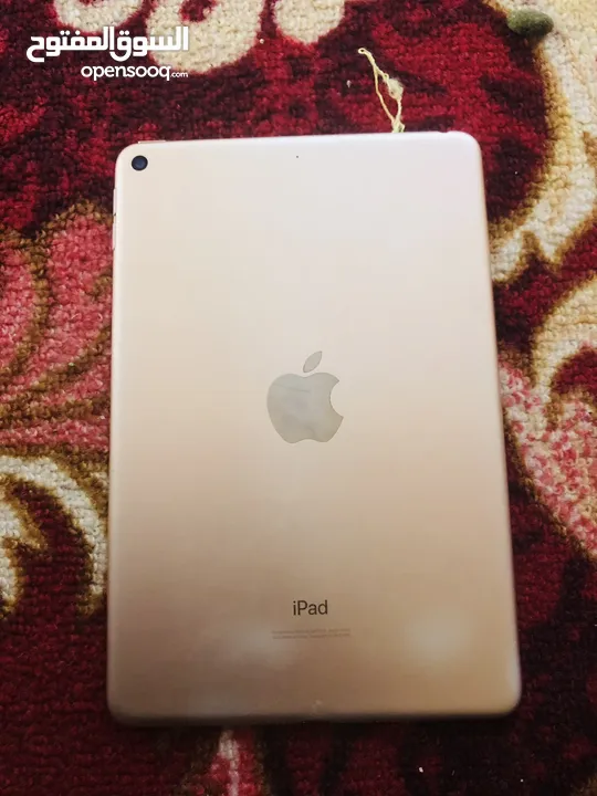 ipad mini 5