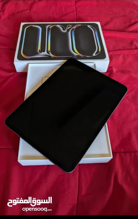iPad Pro 11" M4 256GB