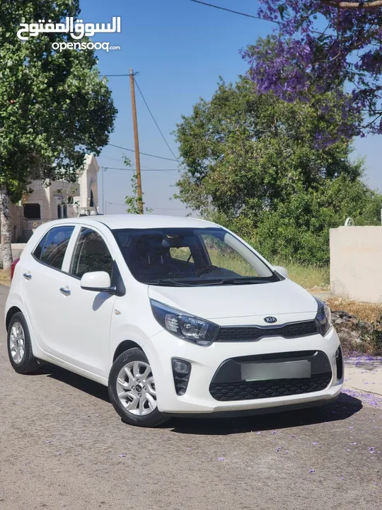 كيا مورنينك ترخيص 2019