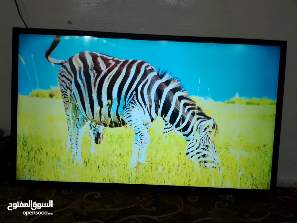 شاشة 42 بوصة سمارت FUll HD نوع تايجر والصورة قزاز وممتازة عالفحص بسعر حرررررق