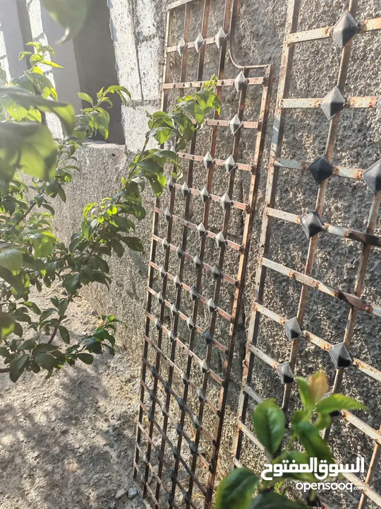 شبك حمايه+ رفوف