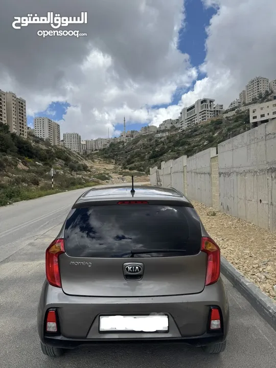 بيكانتو 2016 بصمة ولا ضربة ترخيص تأمين سنة سعررررر حررررق