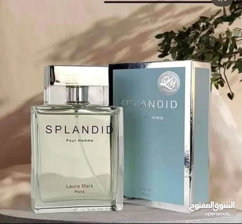 عطر سبلانديد بور هوم