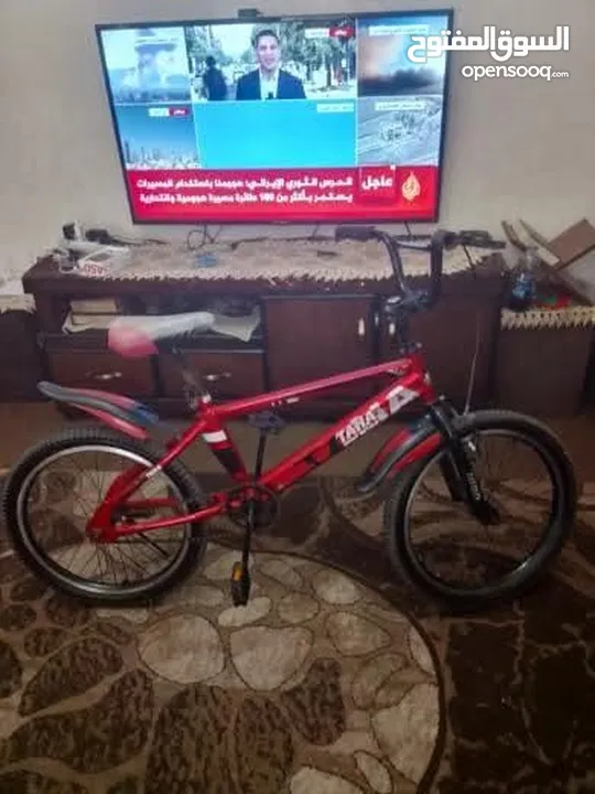 بسكليت امريكي