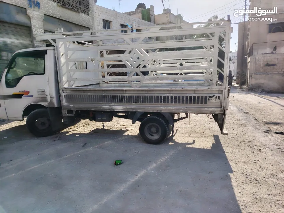 بك كيا بنجو