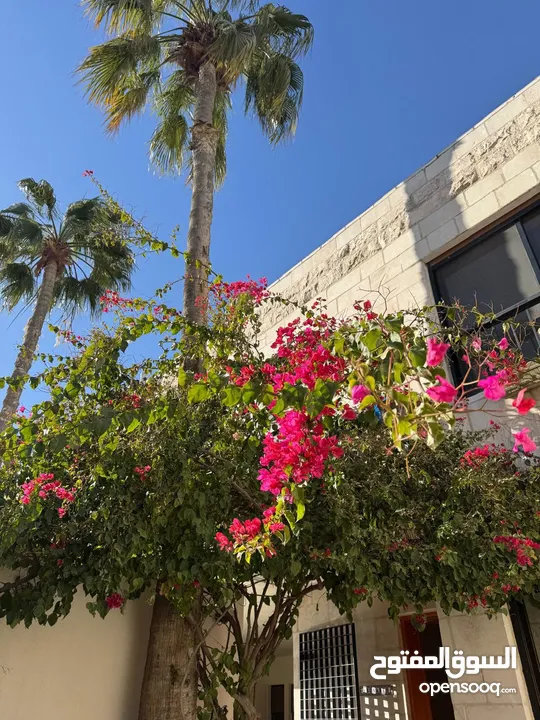 Semi detached Villa in Dahyet Al Rasheed