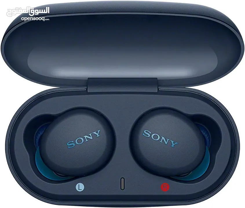 Sony  Wf X900