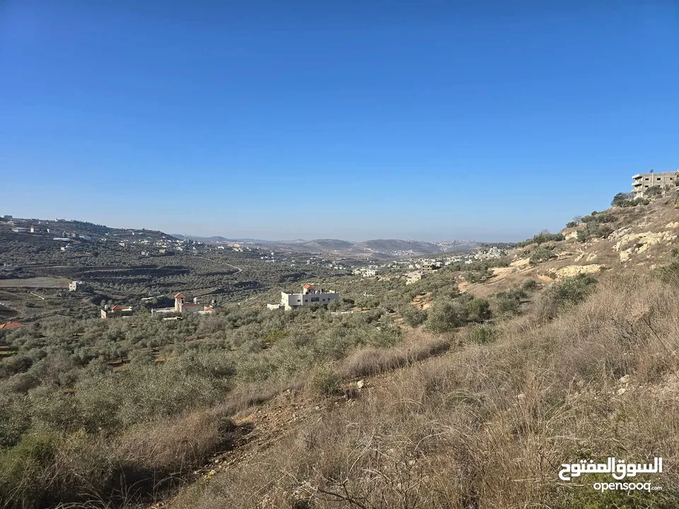 ارض 2600 متر اجنسنيا