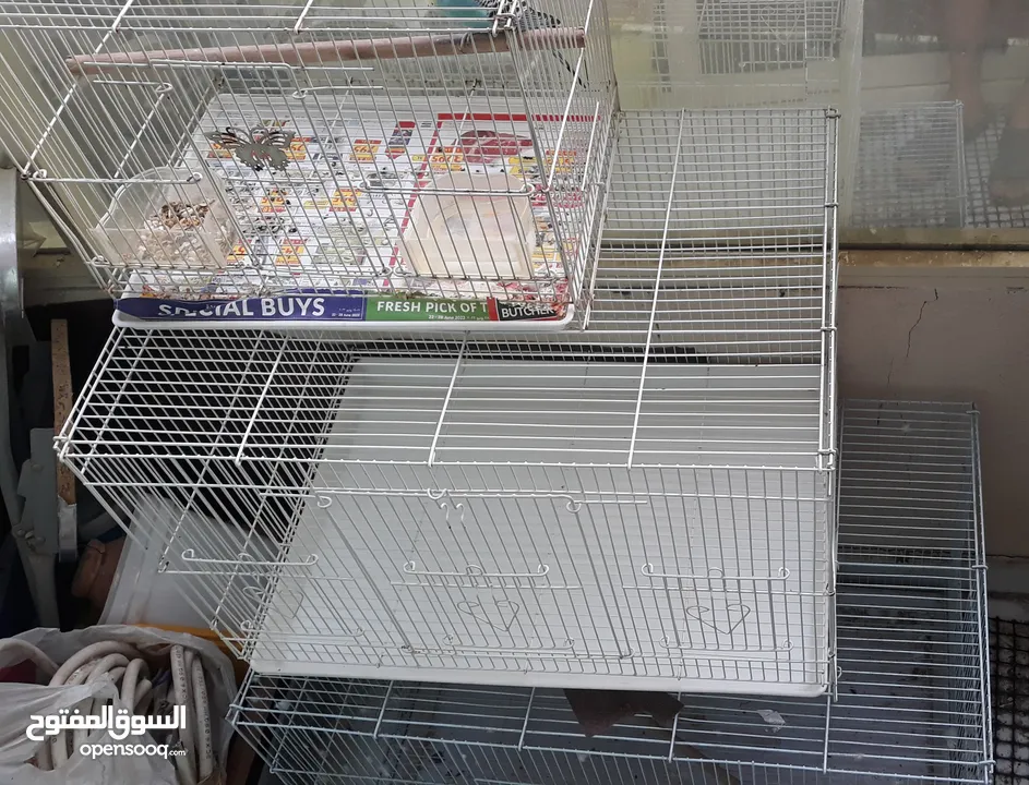 stainless steel cage 1 time use for S or M size pets only whatsapp in Description