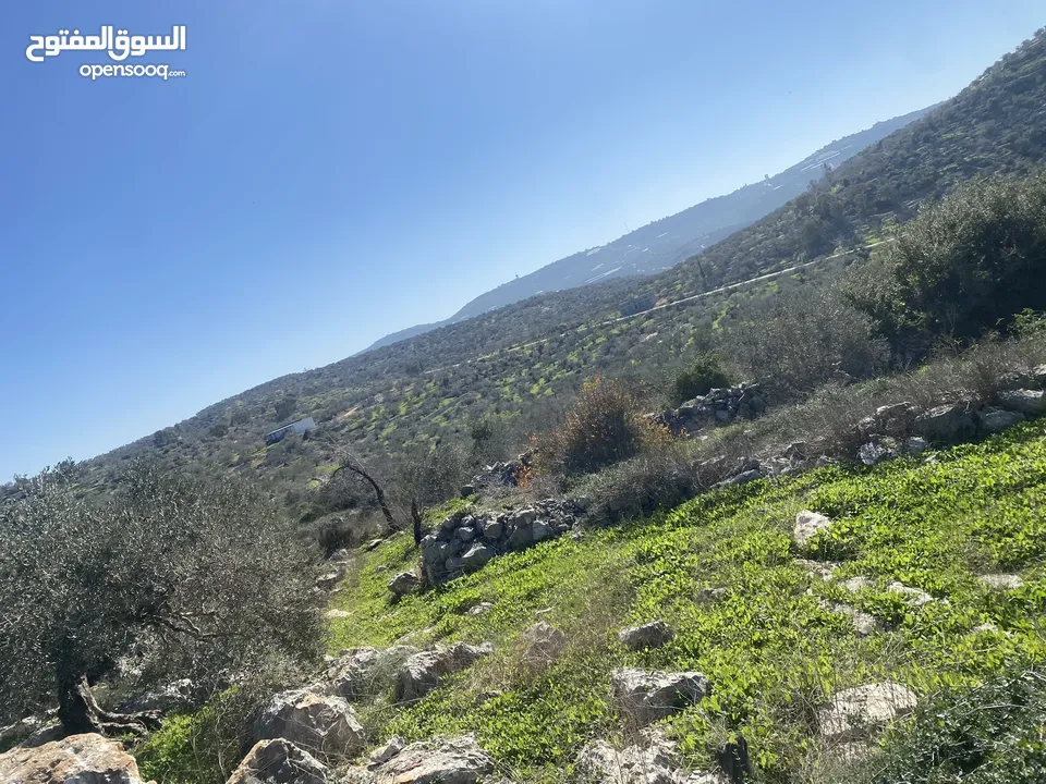 ارض كوشان نضيف ب اسم شخص واحد مرتفعه على شارعين تبعد عن شارع رئيسي 100 متر واصل جميع الخدمات