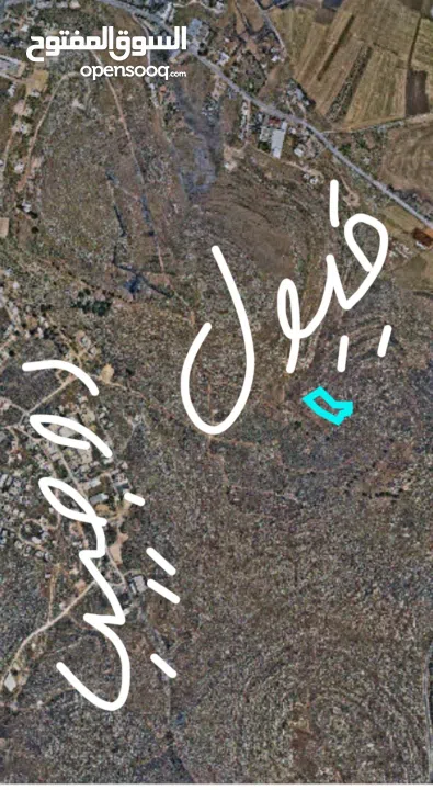 احمد ابو مصطفى