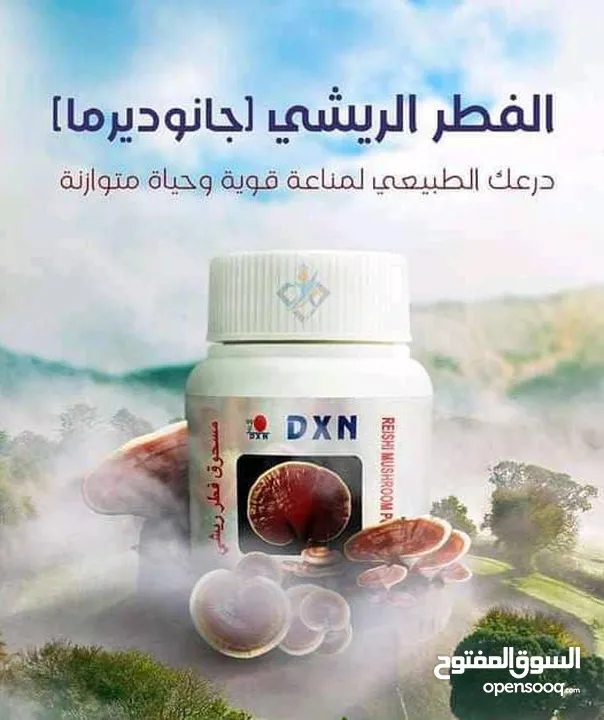 منتجات DZN المعروفة عالمياً