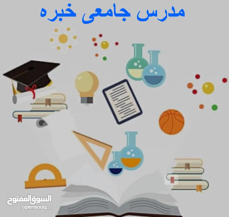 مدرس جامعى خبره كبيره