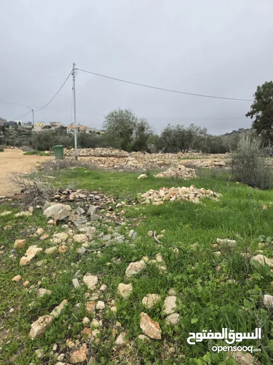 ارض للبيع تبعد عن الخط الرئسي 100 متر ارض ممتازه على شارعين وصلها جميع الخدمات