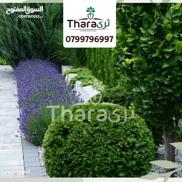 تصميم و تنسيق و صيانة الحدائق و شبكات الري