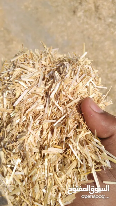 قش القمح للبيع بالجمله Wheat straw