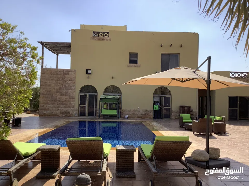 مزرعة في البحر الميت/ الشونه الجنوبية / السويمه / حوض جلد مميزة للبيع للجادين فقط