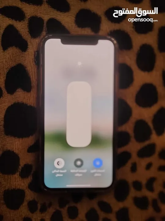 iPhone Xss