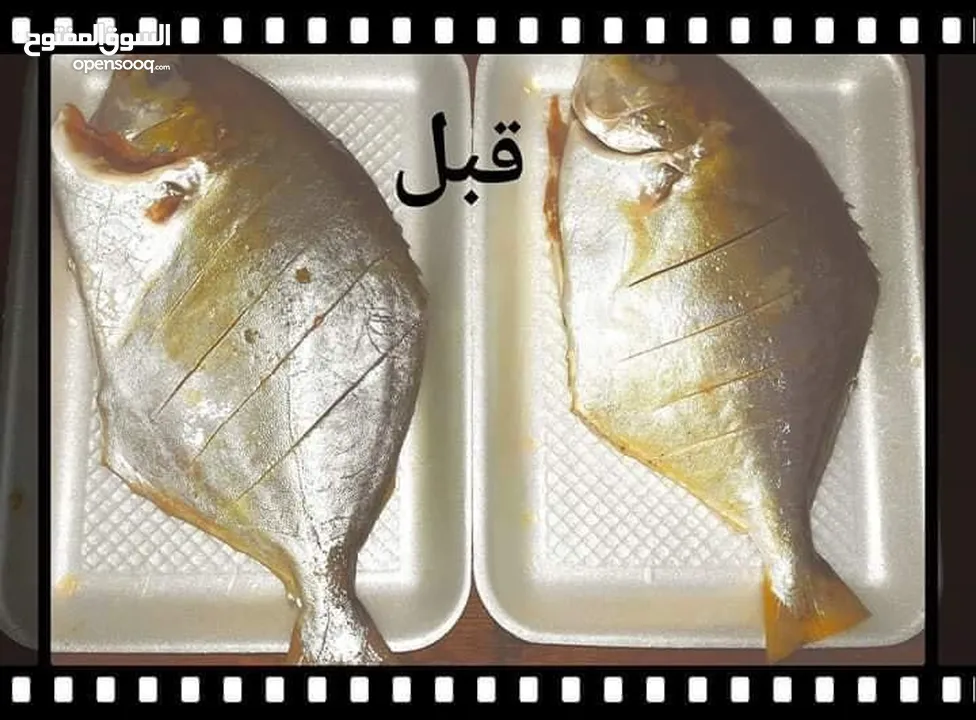 Fish zubaidi سمك ذبيدي ذهبي