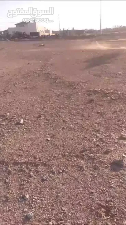 مهر عمره 18 شهر نشمي وعصبي ما شاء الله عليه فيه طاقة وحضور لونه مميز وبلفت النظر من أول نظرة