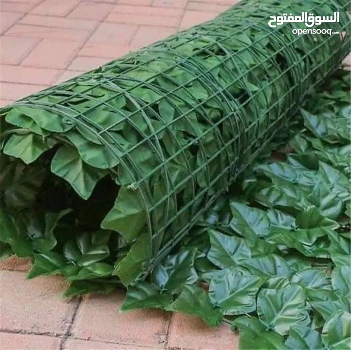 رول ورق شجر اخضر كثيف