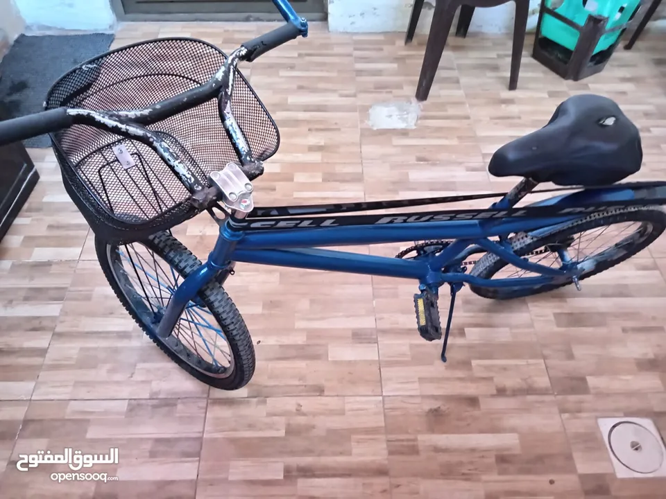بسكليت كوبرا أمريكي بسعر مغري