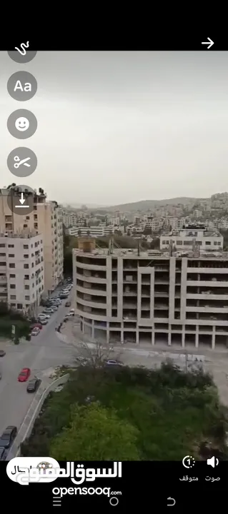 فارس شاهين
