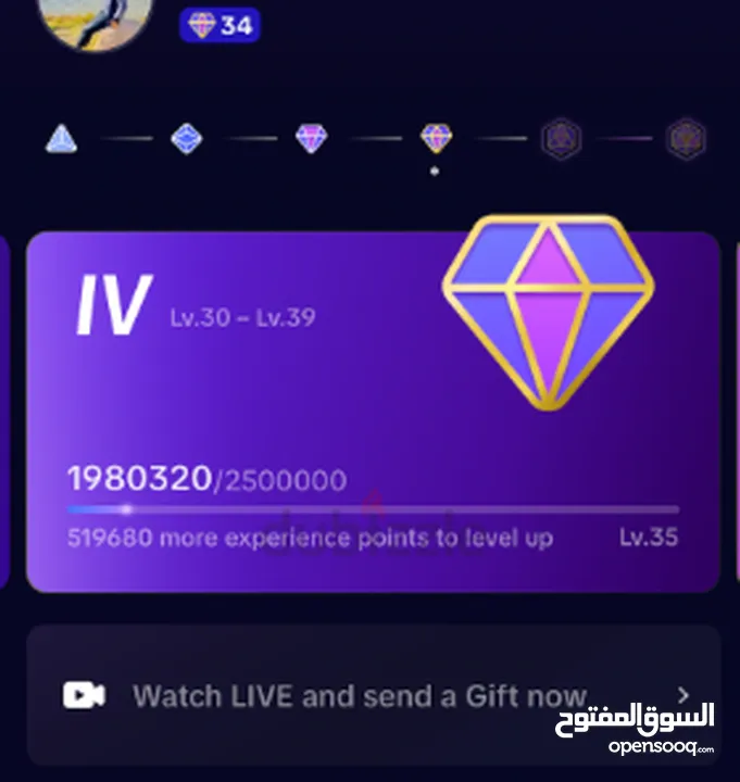 Tiktok Account Gifting Level 34