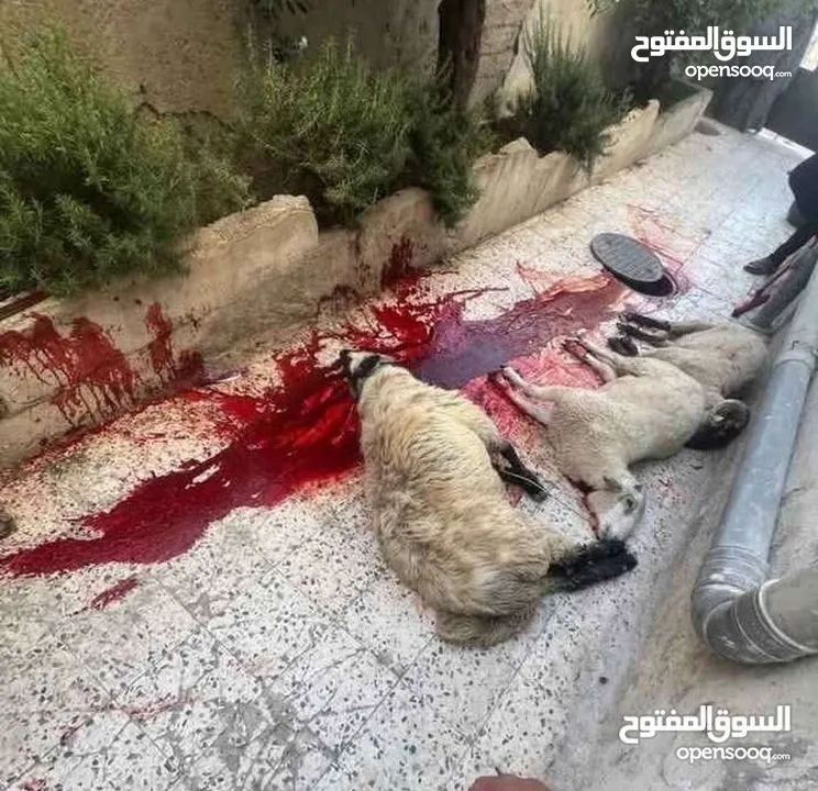 لحام متنقل لجميع المنازل