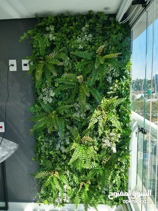 جمال الزرع المعلق الـ Green Wall  علي الحائط يستخدم في العديد من الامكان