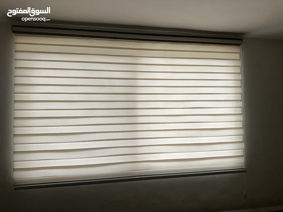 برداي زيبرا استخدام بسيط