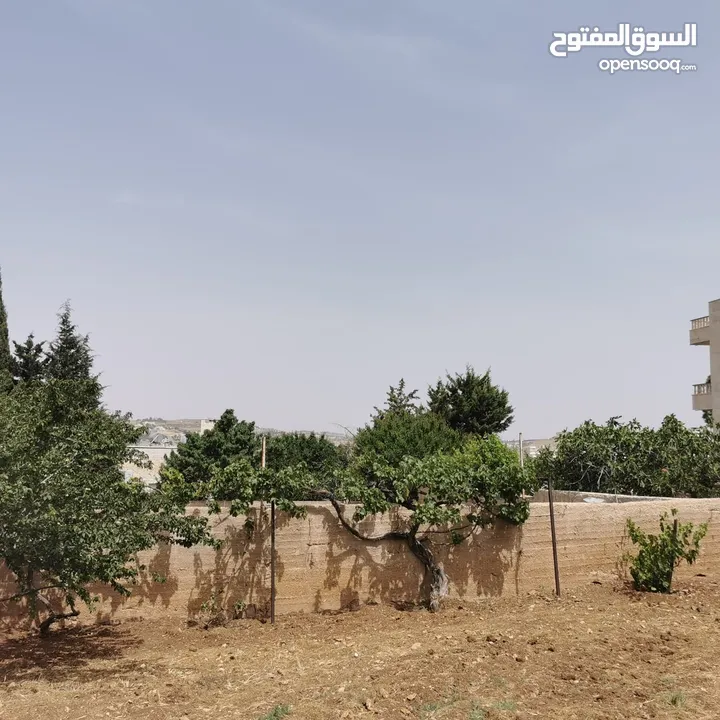 قطعة أرض للبيع