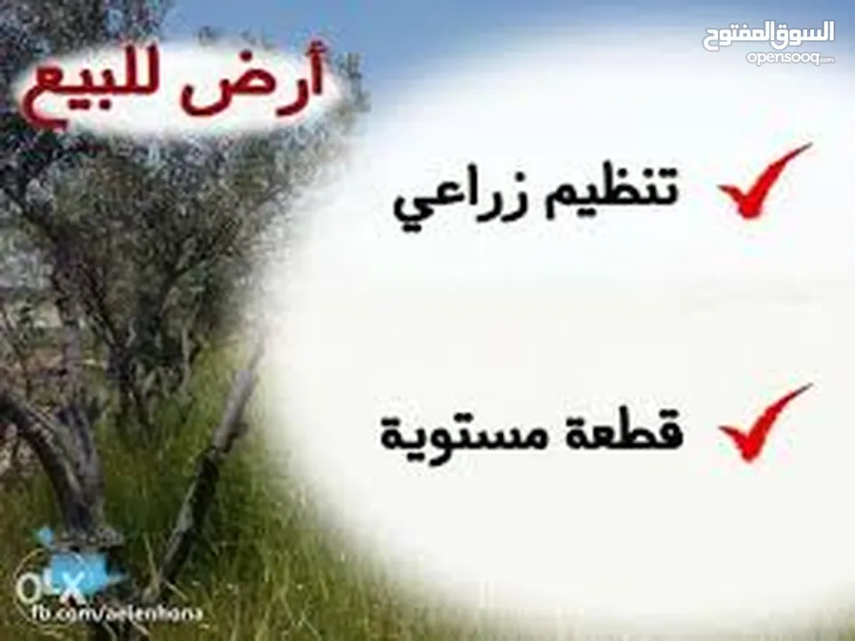 ارض 950 م للبيع  موقع مميز  الجبل الاخضر بالقرب من المحافظه ومديرية الشرطه