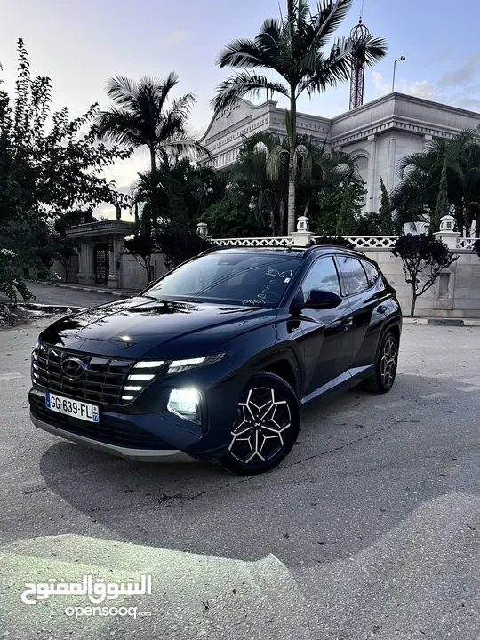 توسان بلجن فل كرتونه بسعر مميز