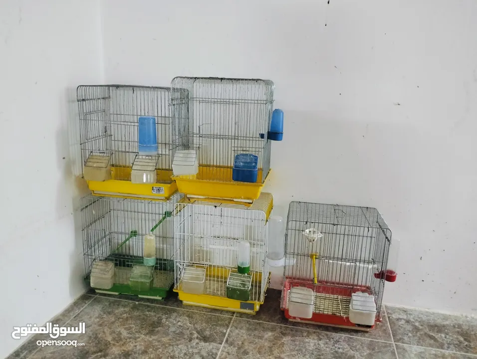 اقفاص واغراضهم