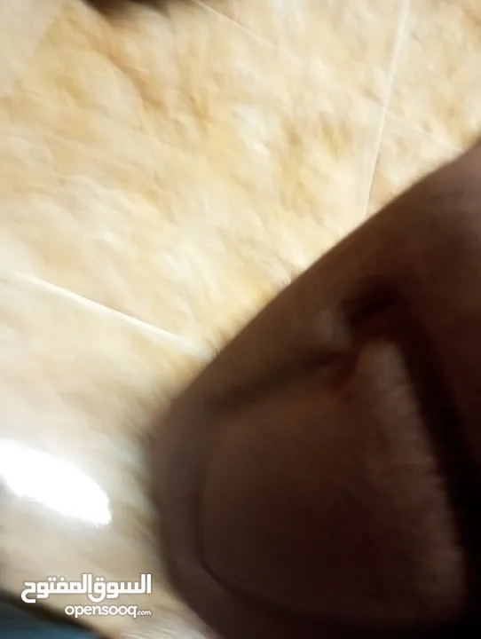 شنط حقائب سفر