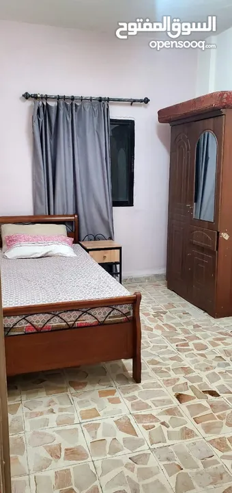 شقة للإيجار