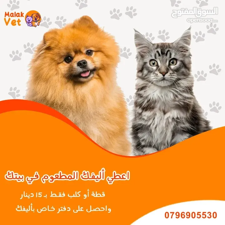 خدمات بيطرية متكاملة للحيوانات الاليفة