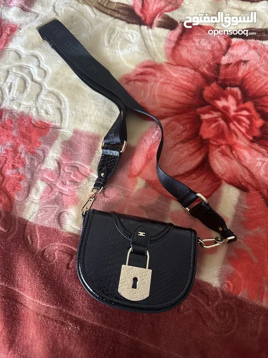 elisabetta franchi bag