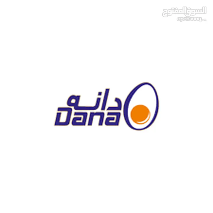 بيض دانه الطازج بسعر خيالي   Fresh Dana Eggs at an Unbeatable Price