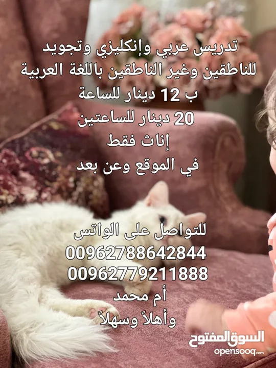 مدرسة E و عربييي.. وتجويد في الموقع وعن بعد