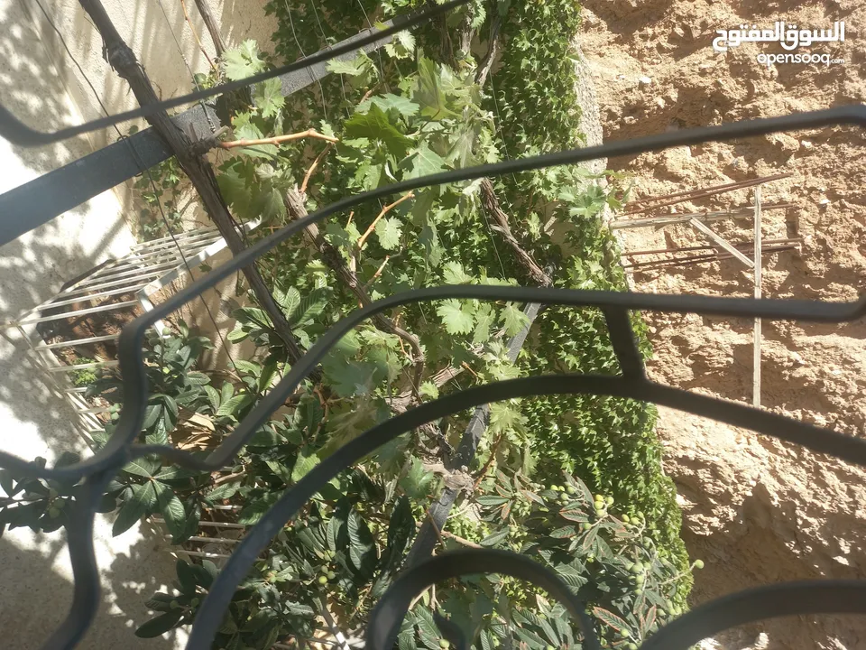 بيت طابق اول مع السطح للبيع من المالك مباشره ماركا الشماليه