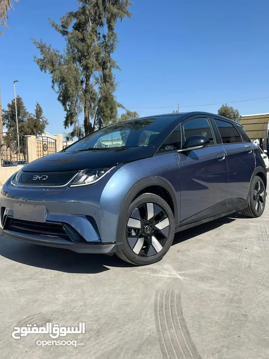 Byd bolphin knight