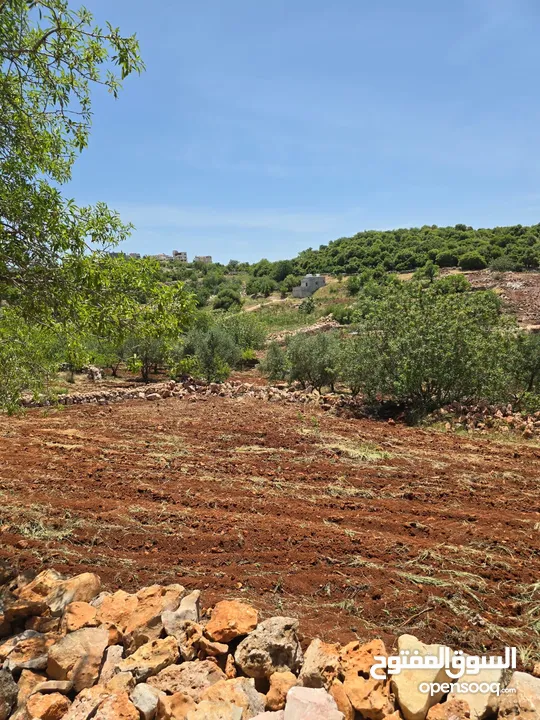 مزرعه 2 دونم مزروعه موقع مميز جدا  من مالك مباشر