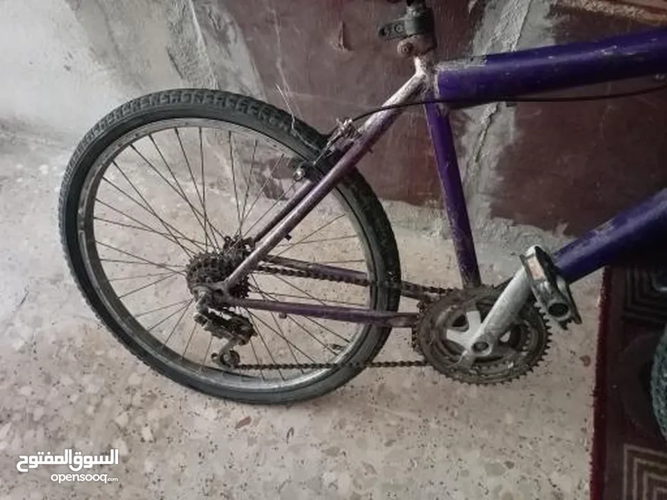 بسكليت نمره 24 ما بحتاج اشي