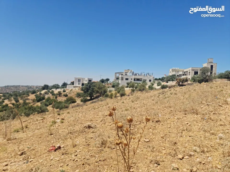 ارض للبيع 500 م في اجمل مناطق المملكه بدر الجديده (الغروس الغربي) على شارعين