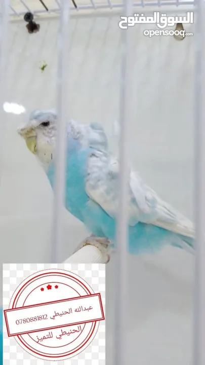 سعر حرققققق