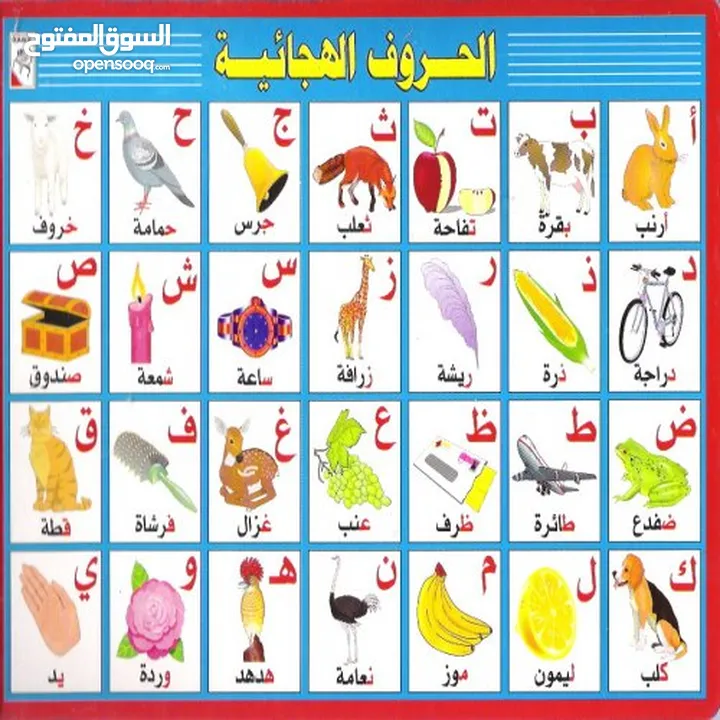 معلم تأسيس لغة عربية خصوصي