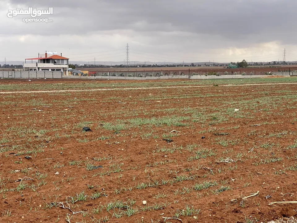 للبيع ارض اربد الحصن قرب جسر النعيمة وخلف معارض شهوان وطريق عمان الدولي قوشان مستقل حوض البطام